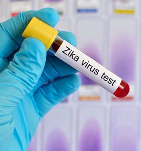 ika Virus Test